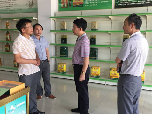 BG大游,油茶种植生产加工销售,植物油种植生产加工销售 BG大游,油茶种植生产加工销售,植物油种植生产加工销售