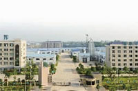 BG����,�Ͳ���ֲ�����ӹ�����,ֲ������ֲ�����ӹ�����