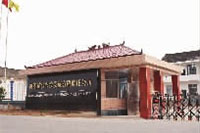 BG����,�Ͳ���ֲ�����ӹ�����,ֲ������ֲ�����ӹ�����