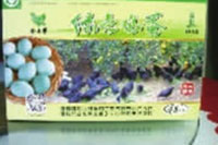 BG����,�Ͳ���ֲ�����ӹ�����,ֲ������ֲ�����ӹ�����