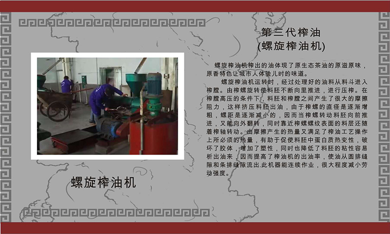 BG����,�Ͳ���ֲ�����ӹ�����,ֲ������ֲ�����ӹ�����