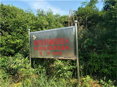 BG����,�Ͳ���ֲ�����ӹ�����,ֲ������ֲ�����ӹ�����