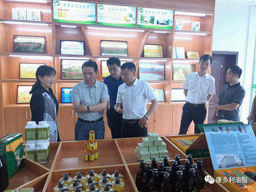 BG����,�Ͳ���ֲ�����ӹ�����,ֲ������ֲ�����ӹ�����